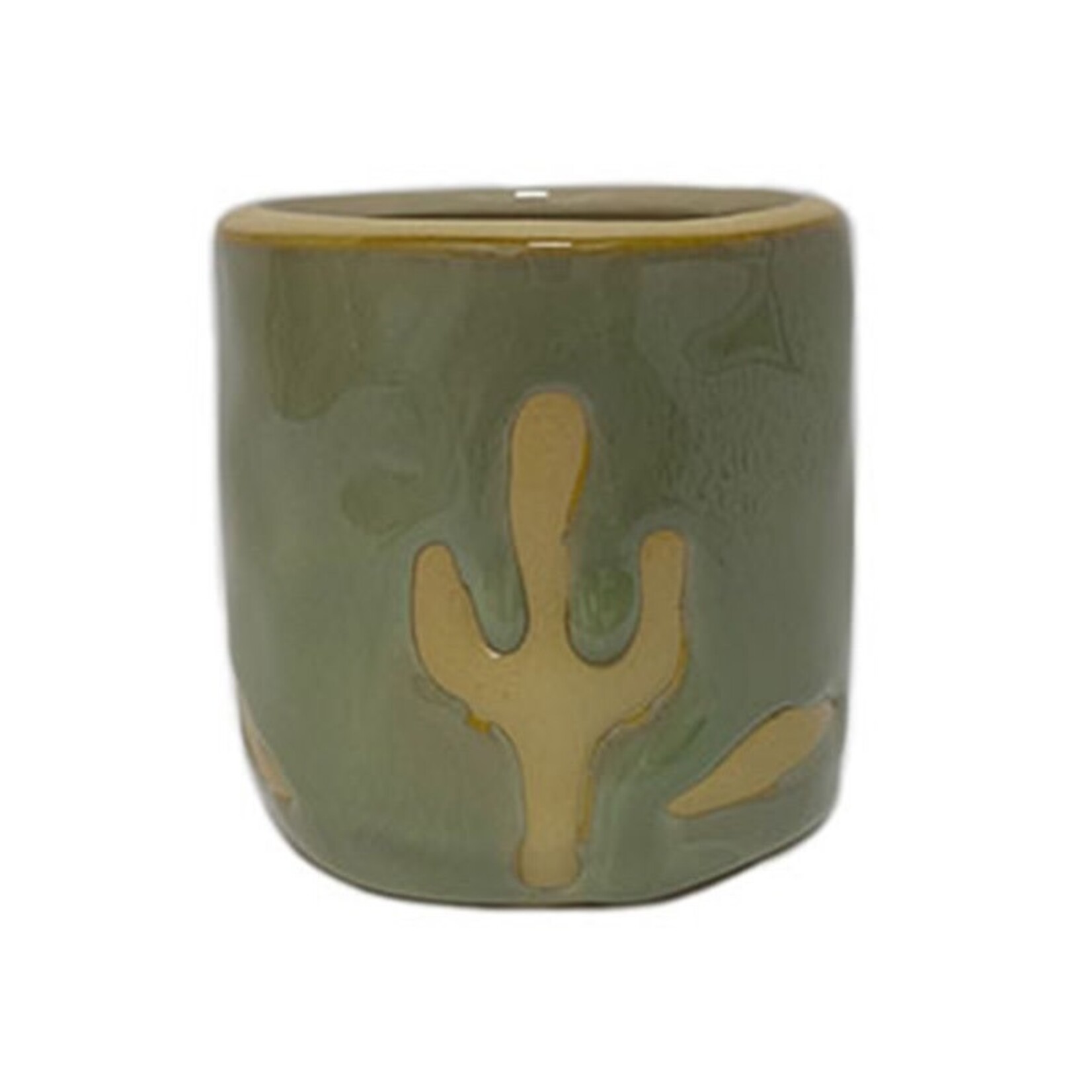 Green Cactus Pot Small