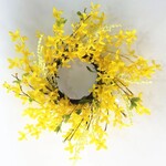 Forsythia  Wreath 18"D