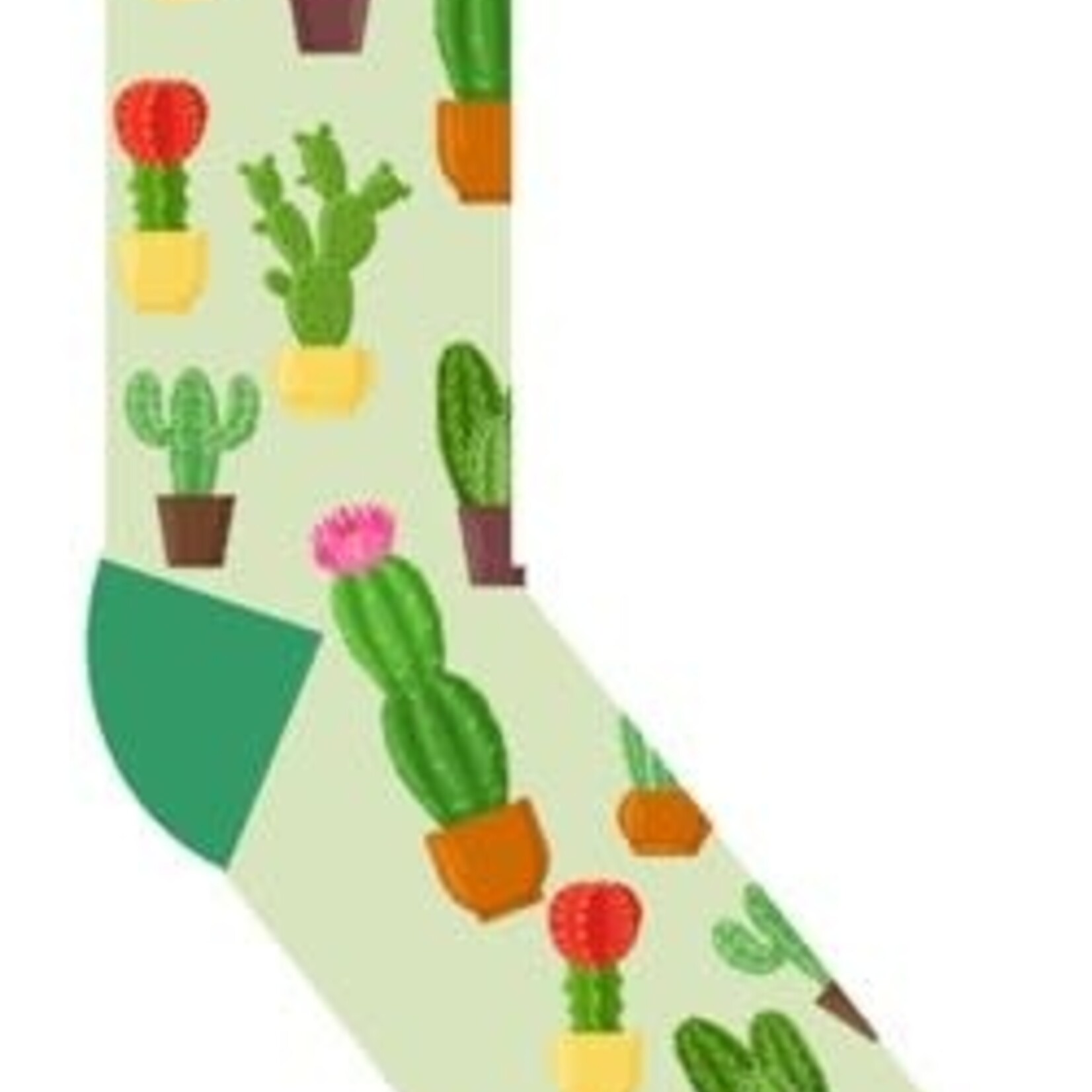 Potted Plants - Women Socks