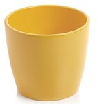 Marlow Pot 6" Matte Curry