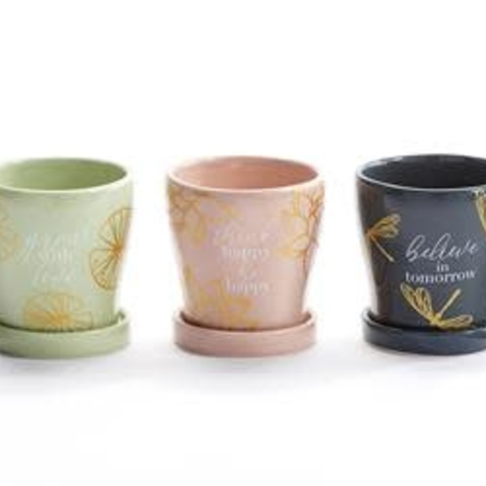 Sentiment Mini Planter w/Tray, - 3 Asst