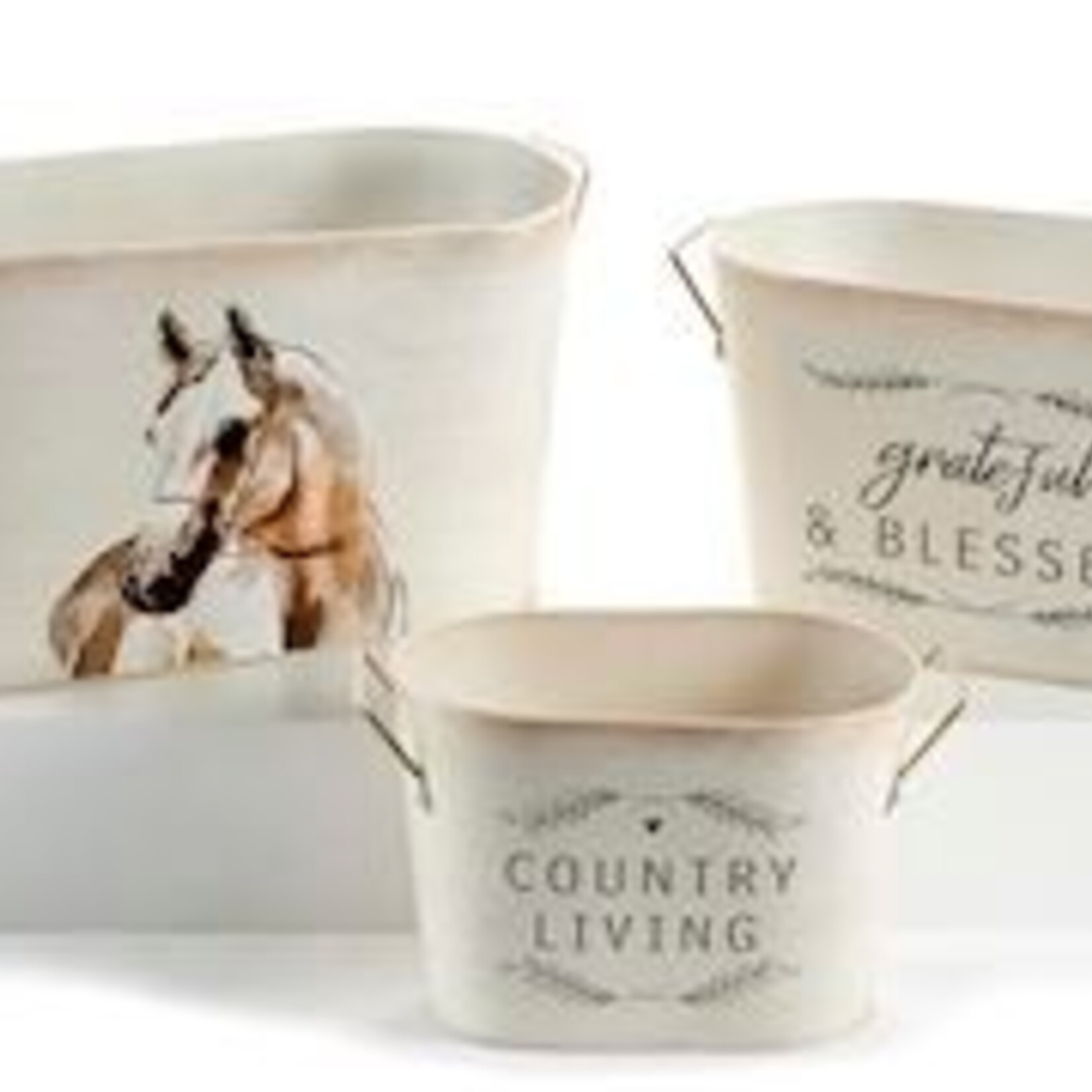 Up Country Galvanized Planters - Medium