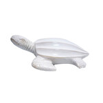 White wash Turtle - Small