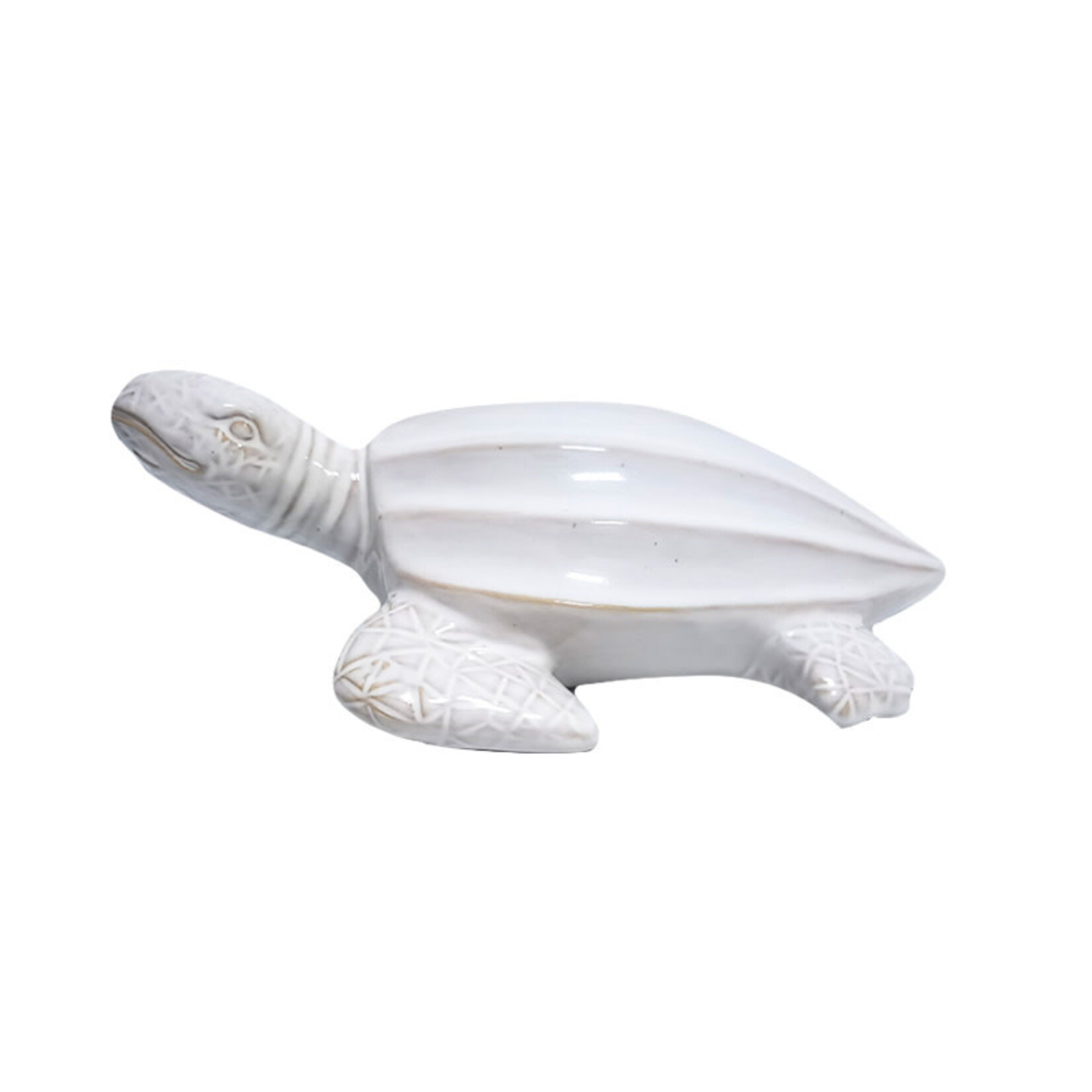 White wash Turtle - Small