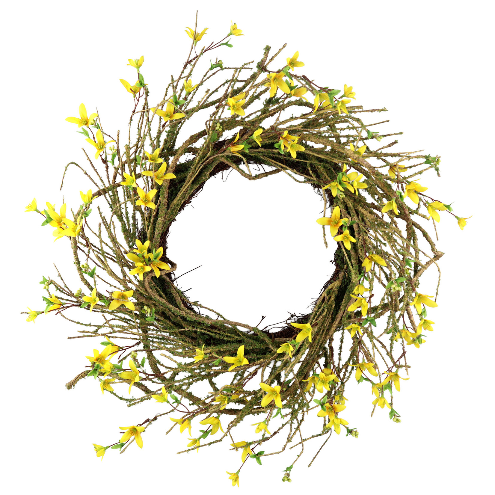 Forsythia Wreath  24" YELLOW W/NATURAL BRANCH & MOSS