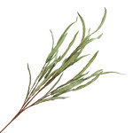 SPRAY LEAVES 32" DARK GREEN