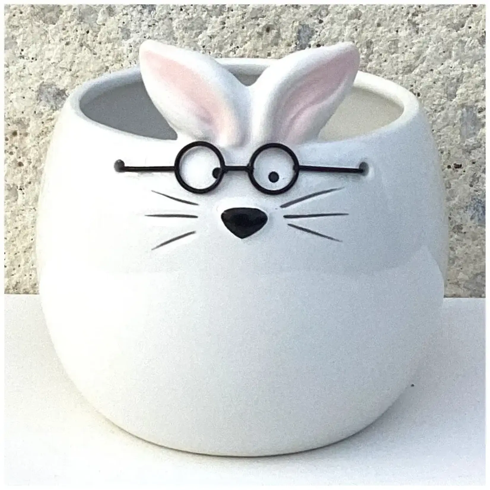 Shiny Rabbit Pot w/ Glasses "Charles" Dolomite (fits 4" pot)