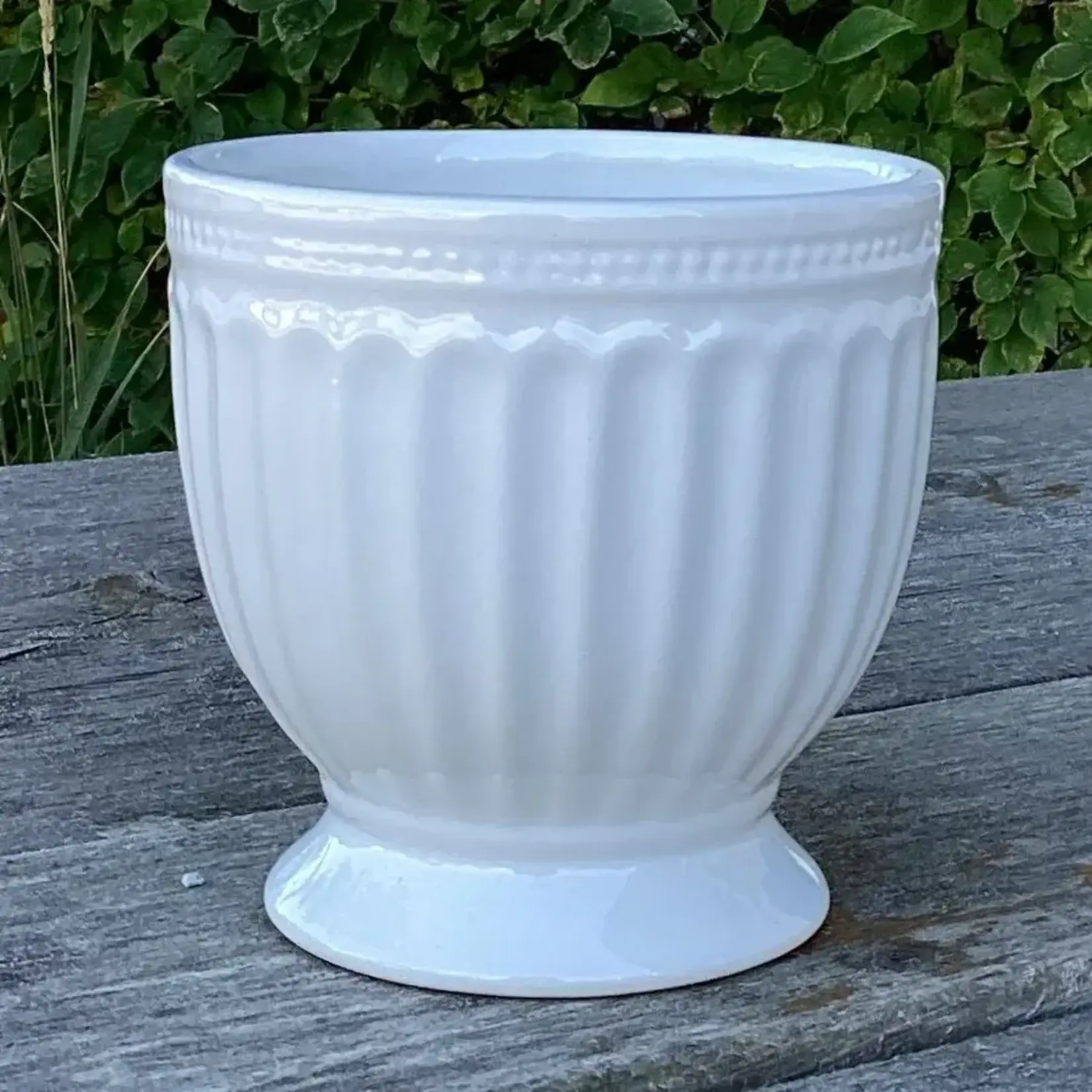 Shiny White Dolomite Container