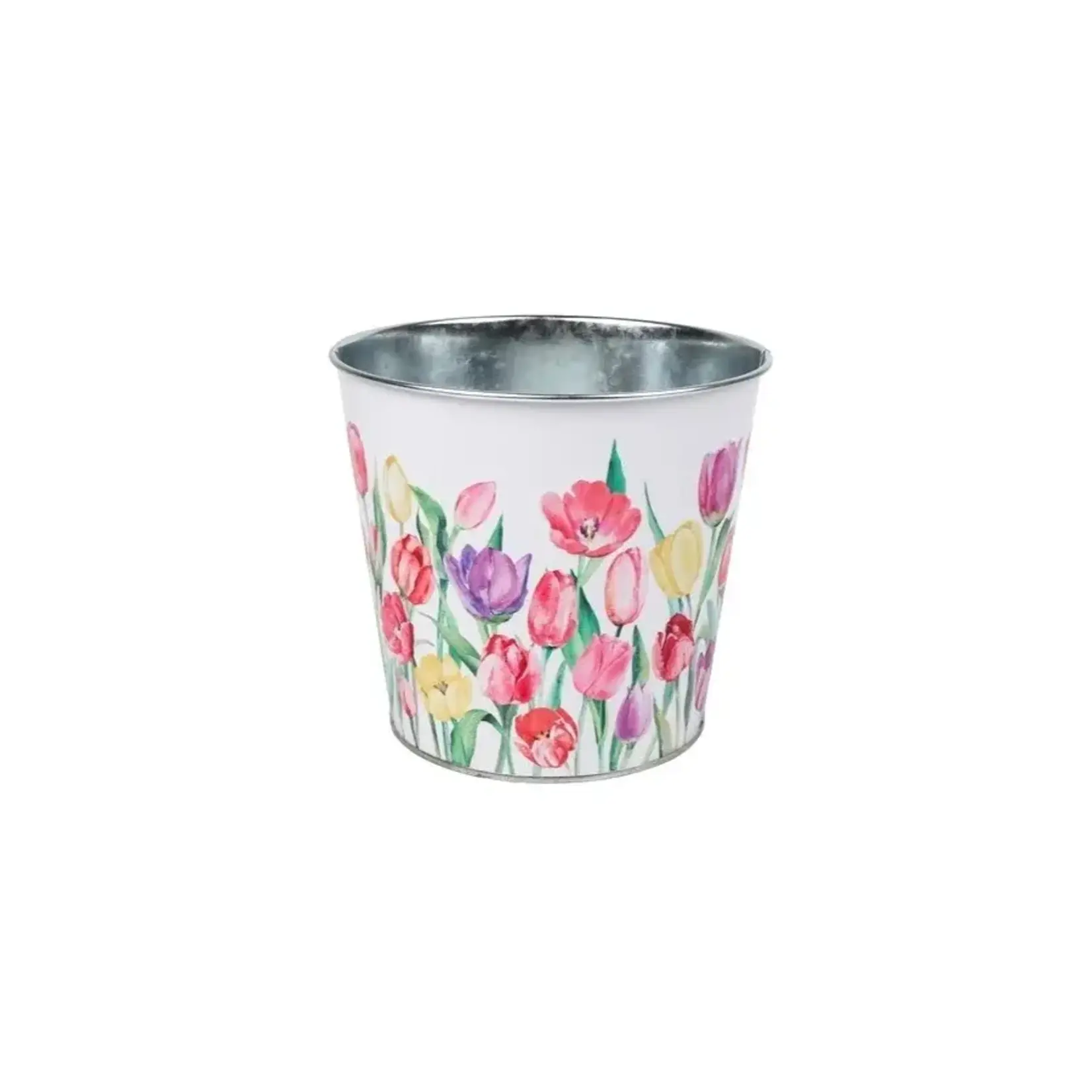 Tulip Garden Printed Metal w/ Hard Liner