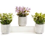 Artificial Potted Plants, 3 Asst.