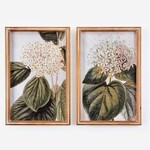 Framed Floral Wall Print, 2 Asst.