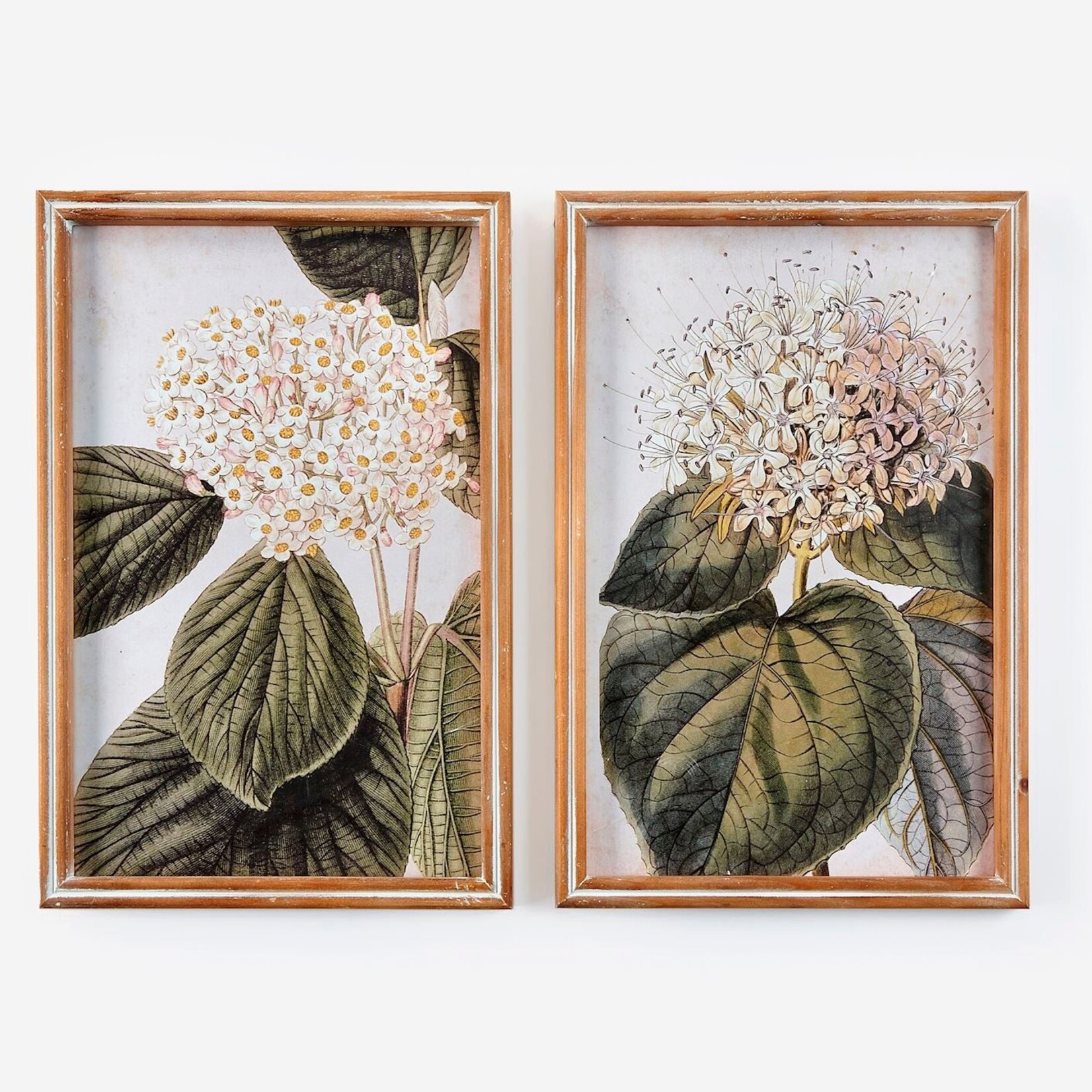 Framed Floral Wall Print, 2 Asst.