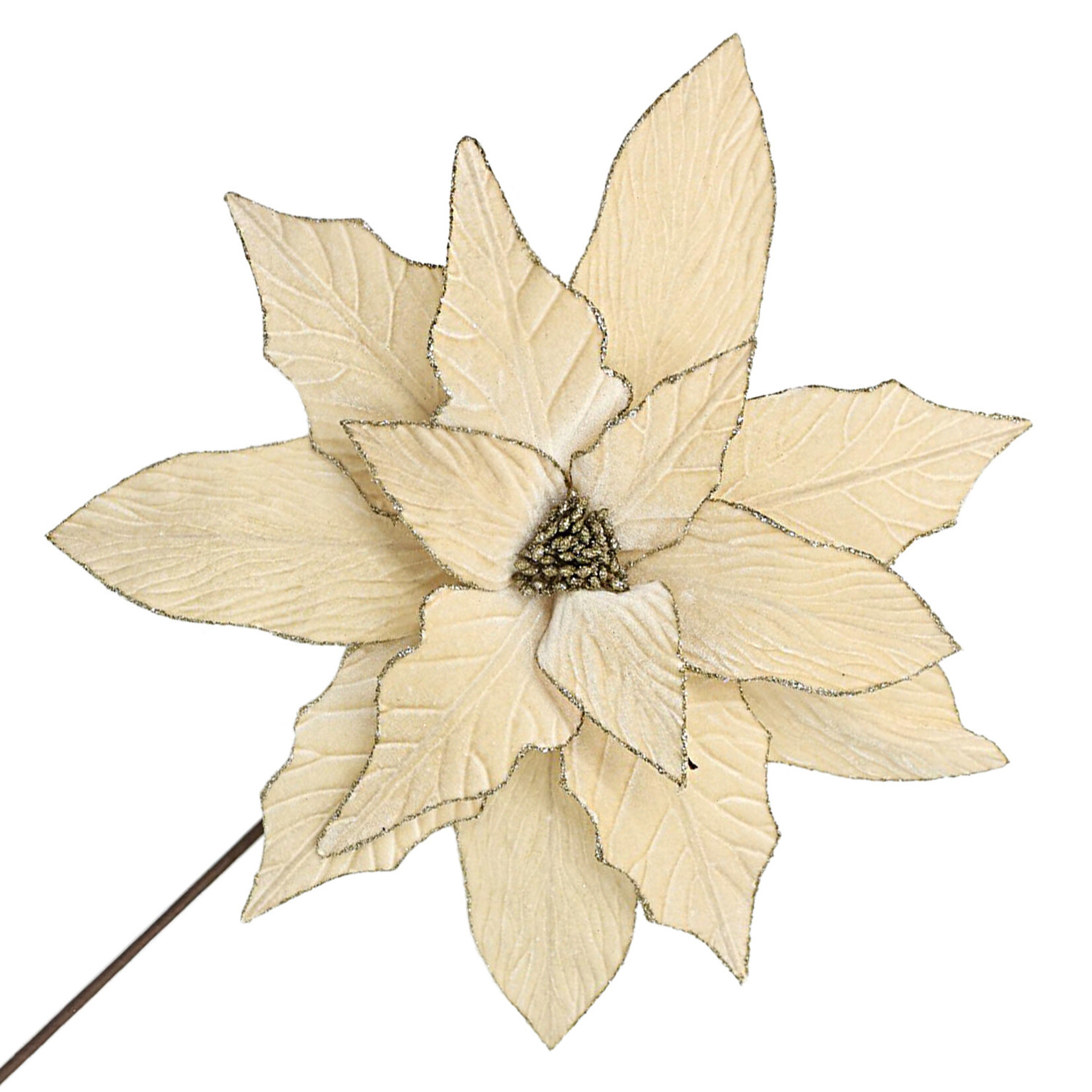 POINSETTIA STEM CHAMPAGNE 18" HEAD VELVET W/ 24" STEM