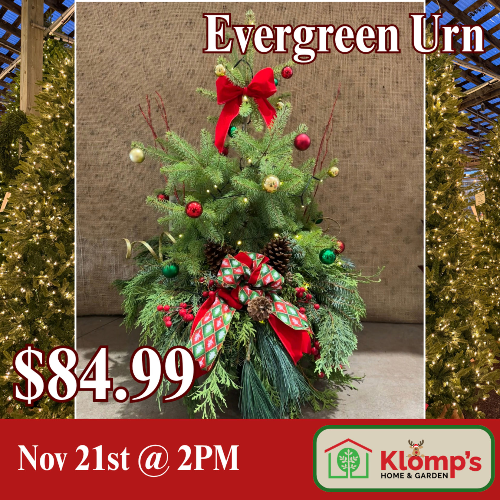 November 21st, 2026 | 2 pm| Saturday | Evergreen Urn w/ Lights
