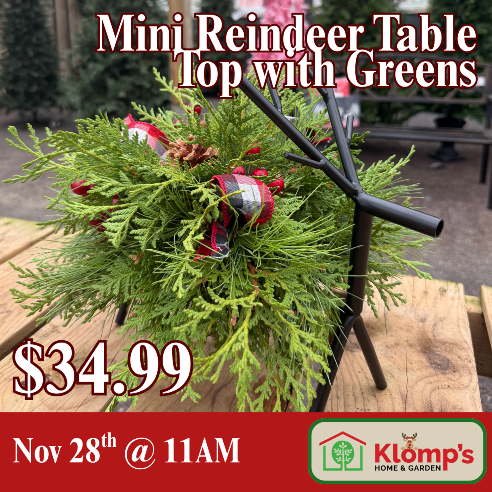 November 28th, 2026 | 11am| Saturday | Table Top Mini Reindeer with Greens Workshop