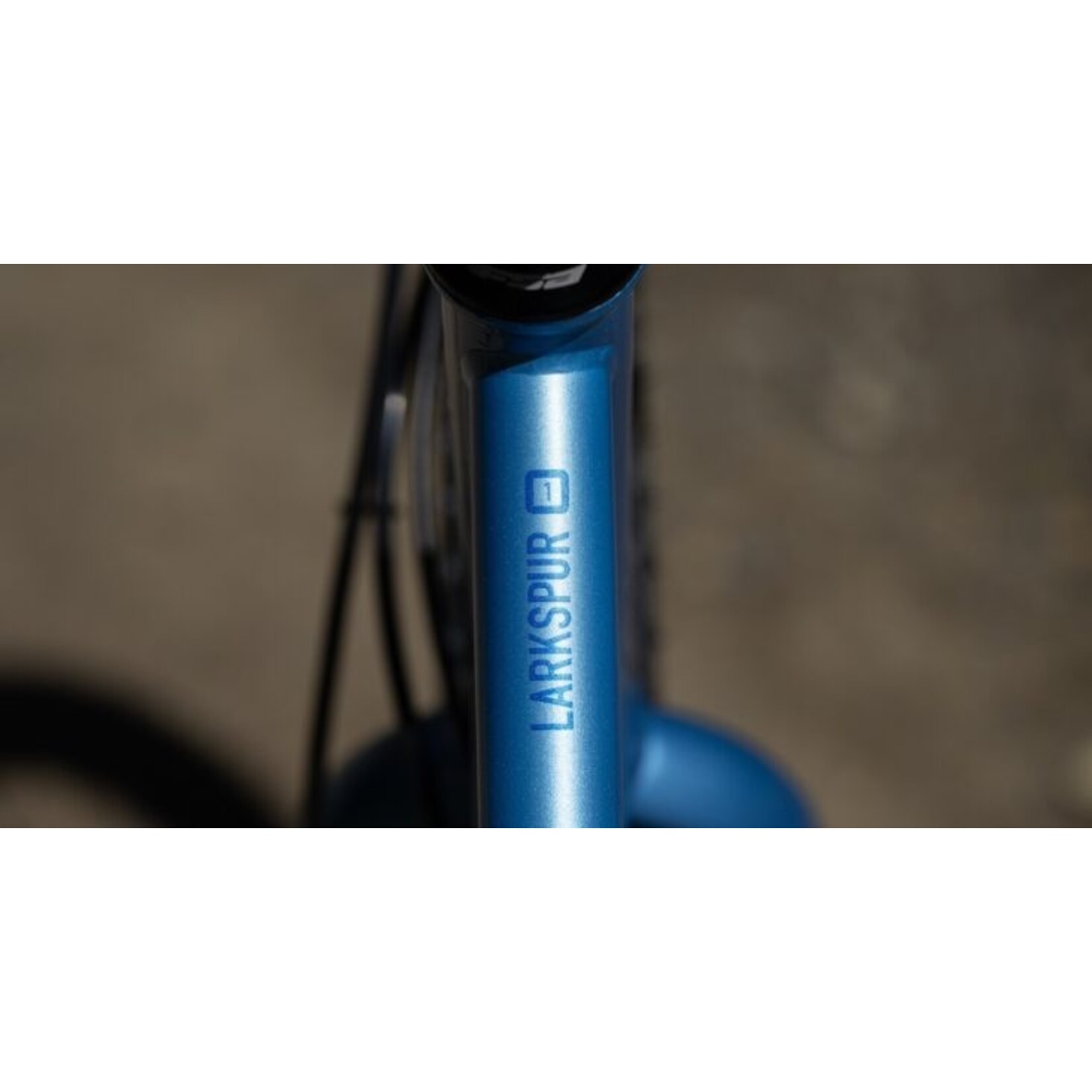Marin Bikes Marin Larkspur 1