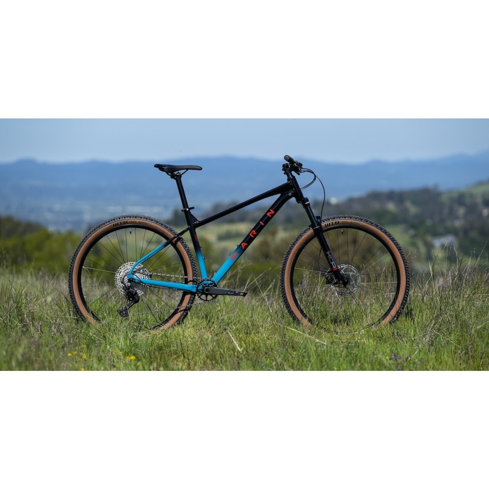 marin Marin Bobcat Trail 5 29" Blue/Black, Medium