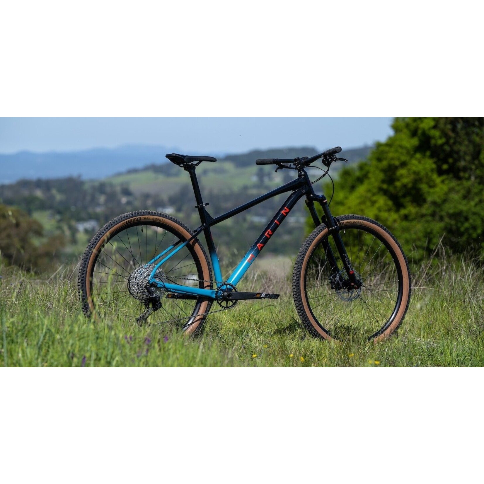 marin Marin Bobcat Trail 5 29" Blue/Black, Medium