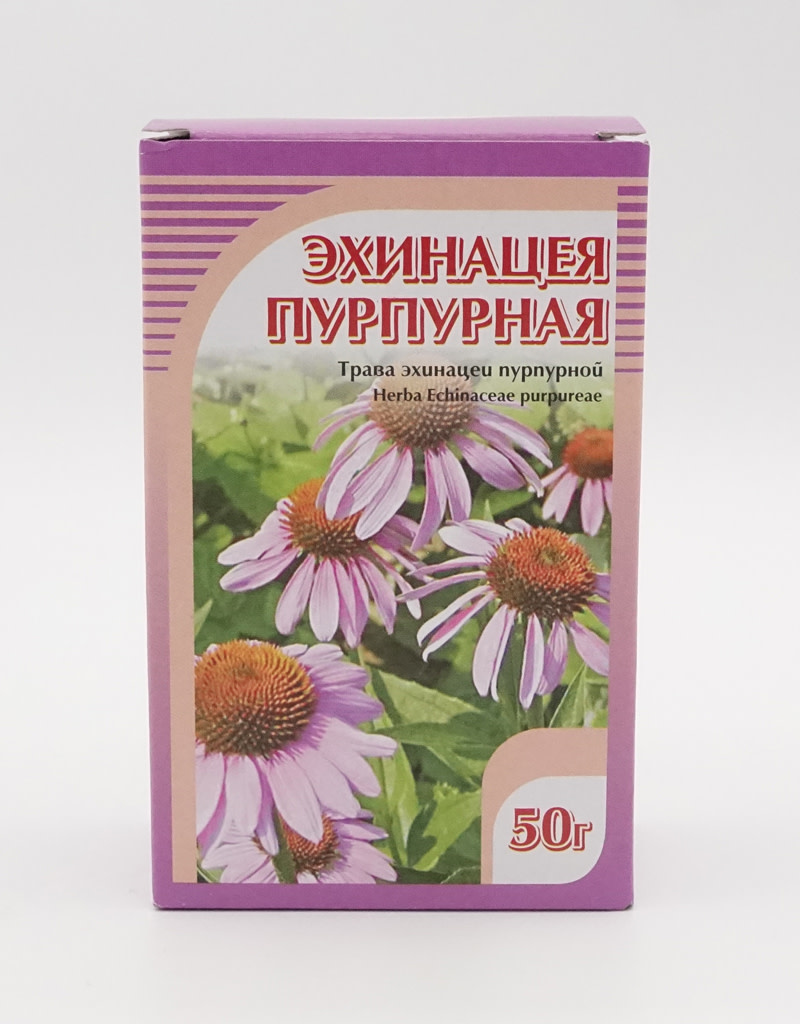 Эхинацея Цена