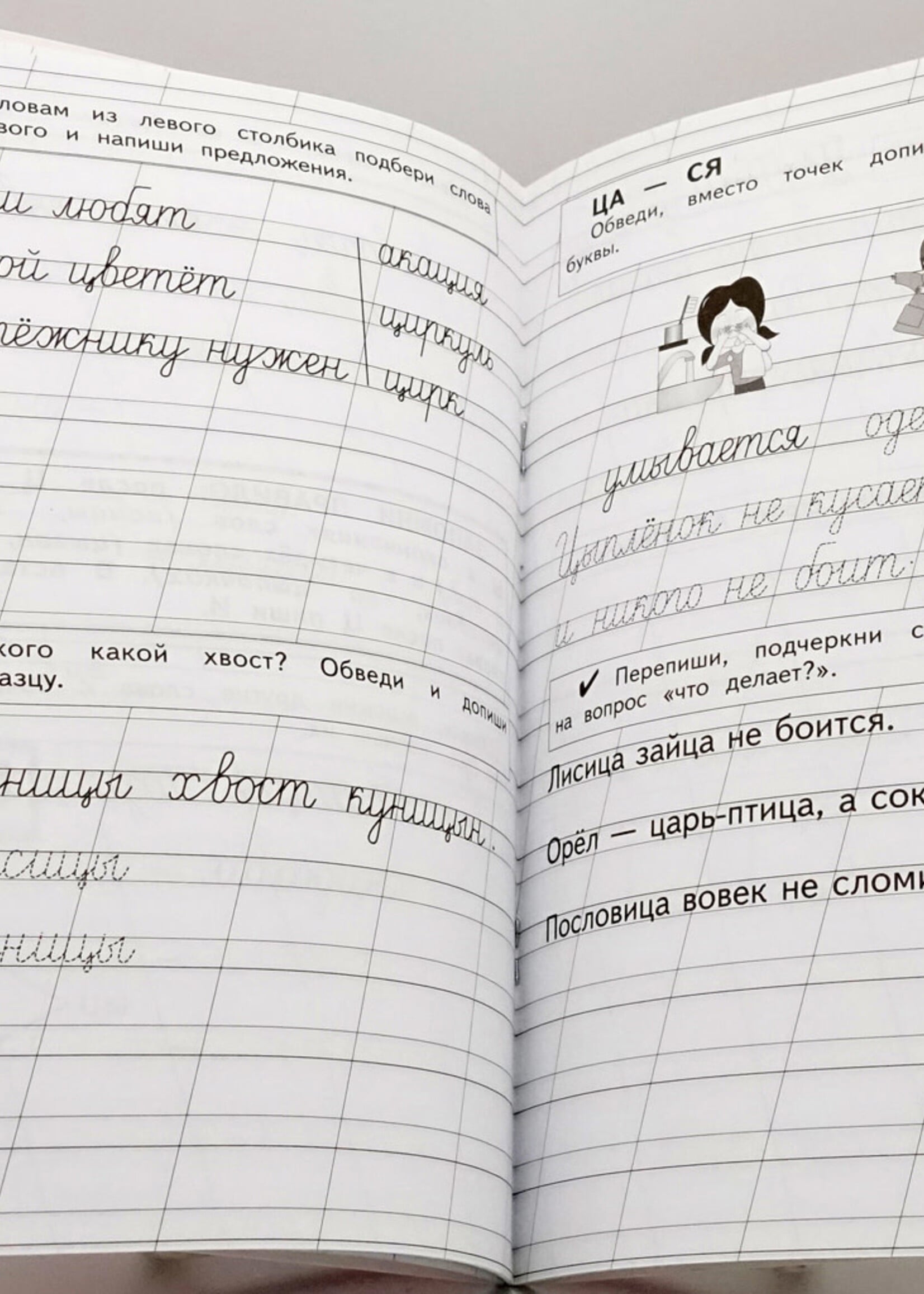 Пропись, 3 книги Н. Жукова