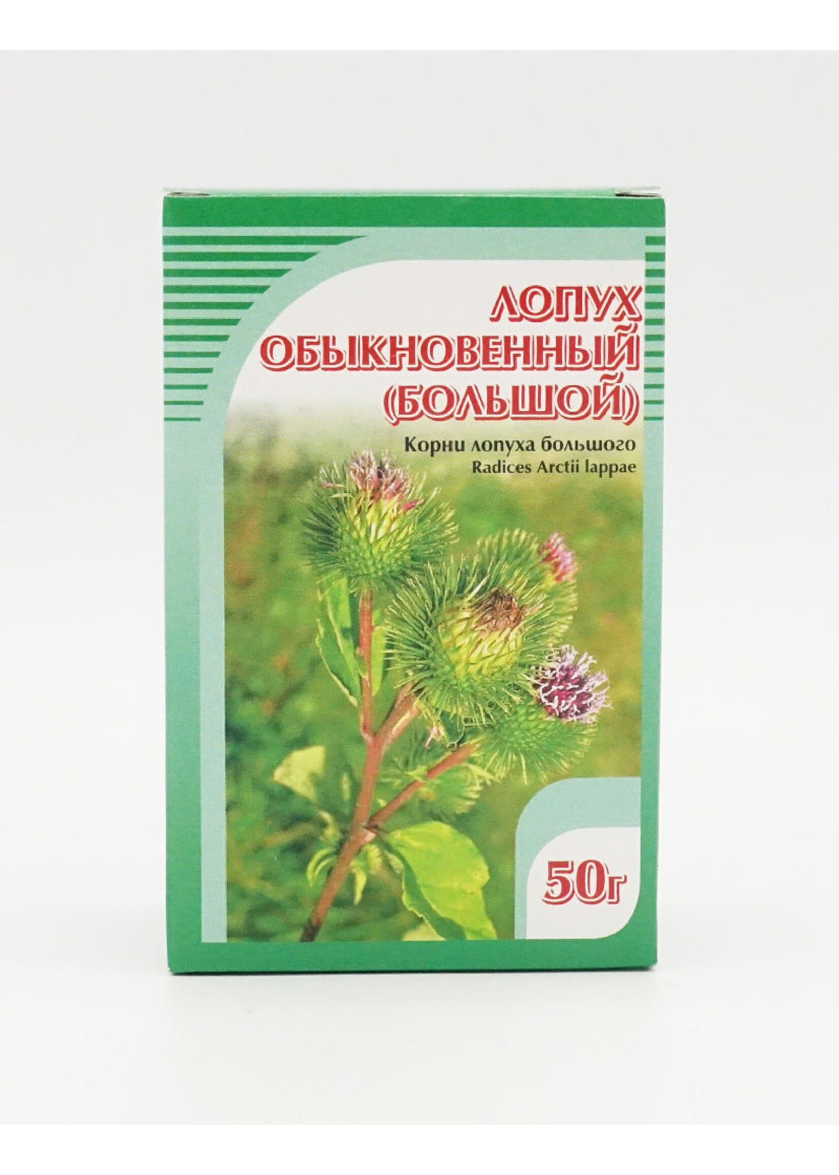 Хорст Burdock Common (Large)