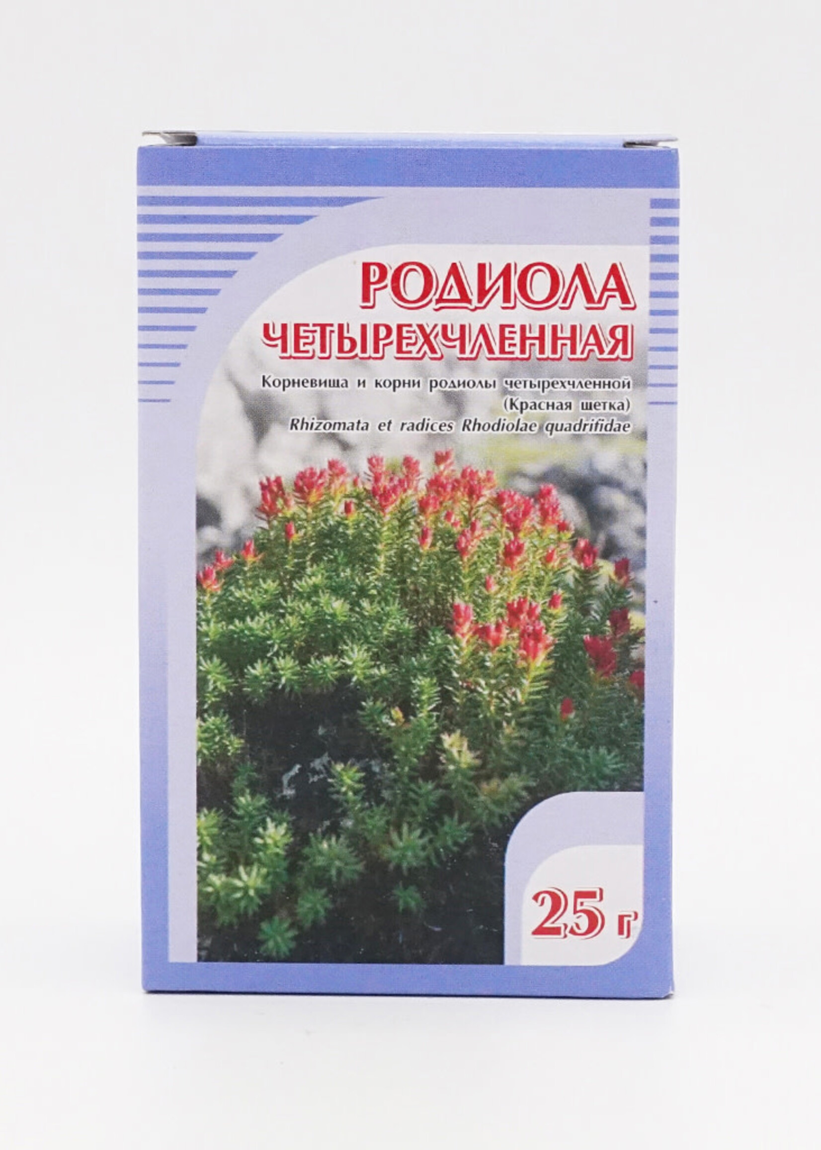 Родиола Четырехчленная