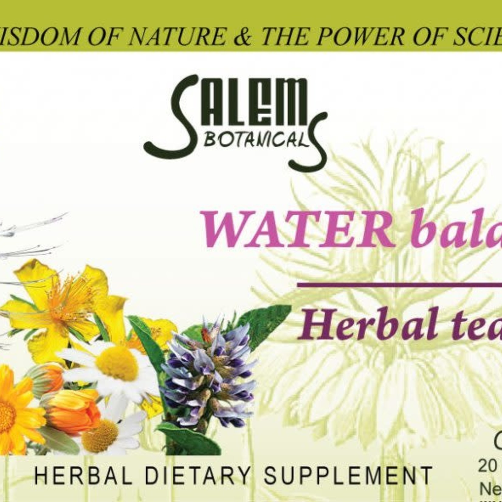 Salem Botanical  Травяной чай, водный баланс