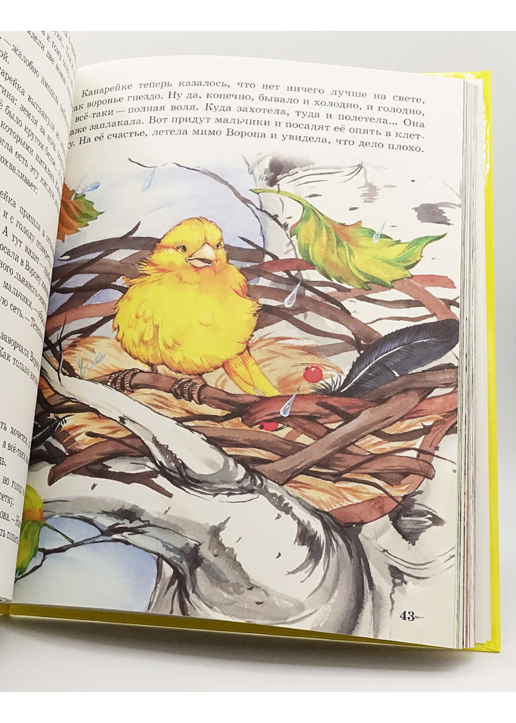 Animal Tales for Toddlers
