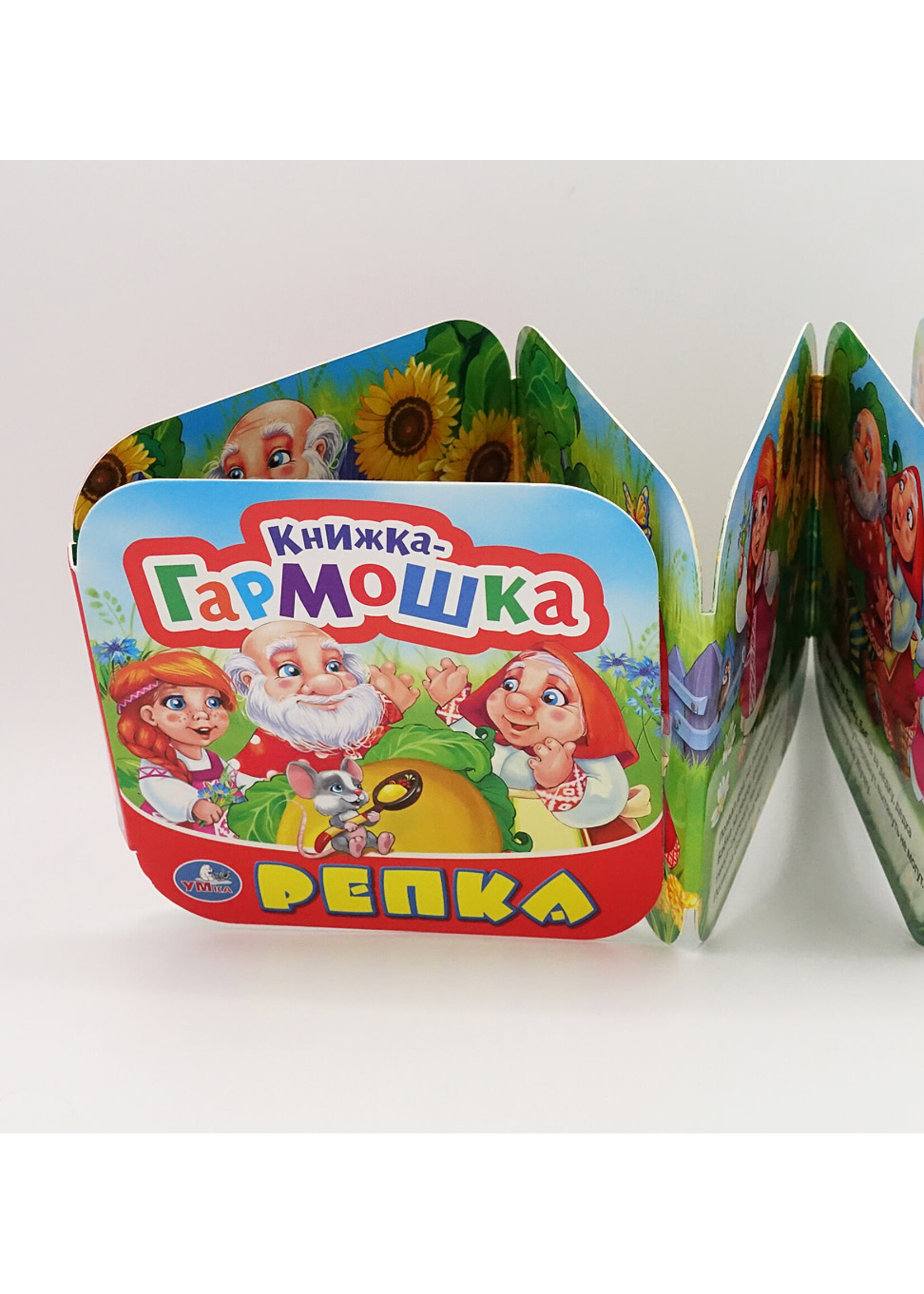 Accordion Book, Turnip