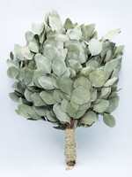 Venik for Banya (Eucalyptus)