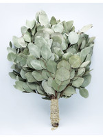 Venik for Banya (Eucalyptus)