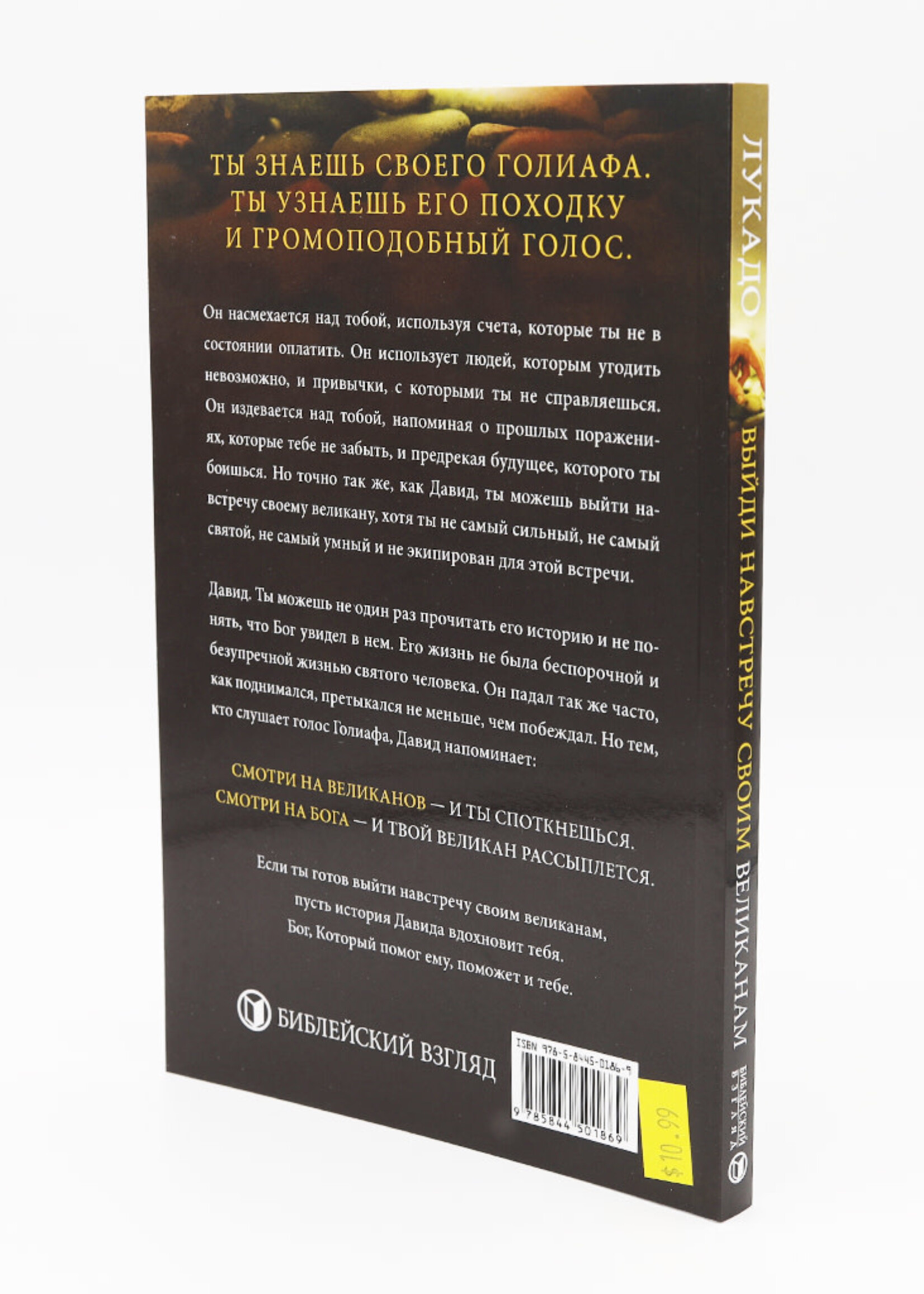 Выйди навстречу своим великанам: Макс Лукадо