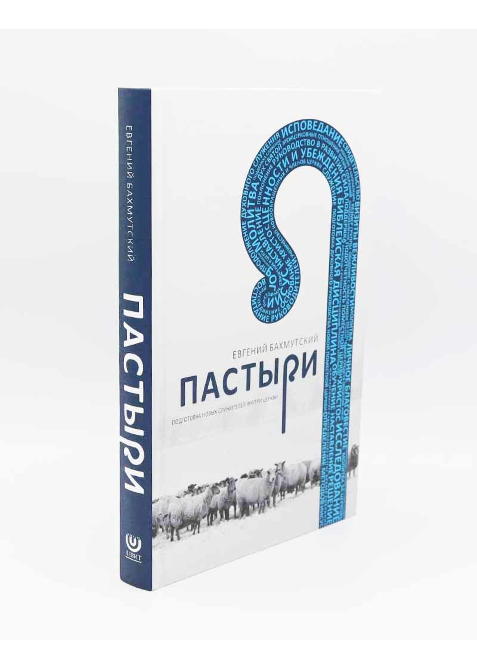 Пастыри - Подготовка новых служителей внутри церкви