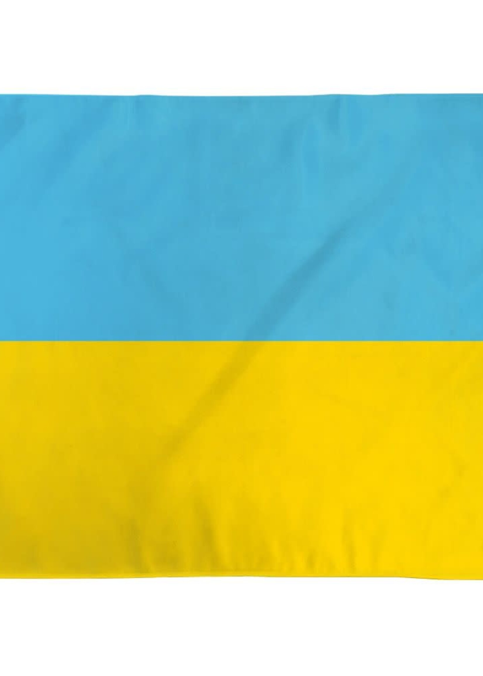 SALE: Flag of Ukraine 3x5'