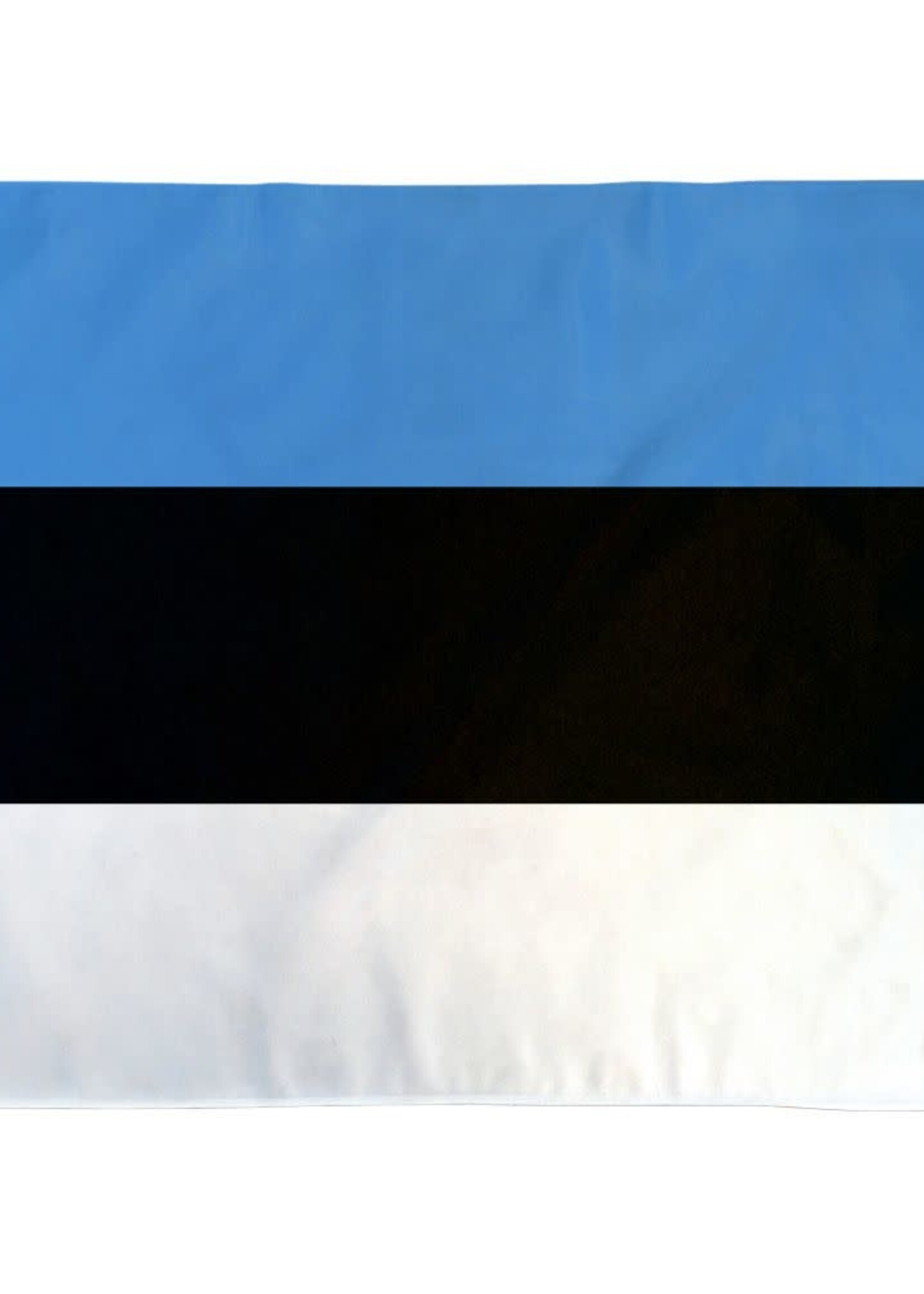 SALE: Flag of Estonia, 3x5'
