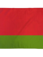 SALE: Flag of Belarus, 3x5'