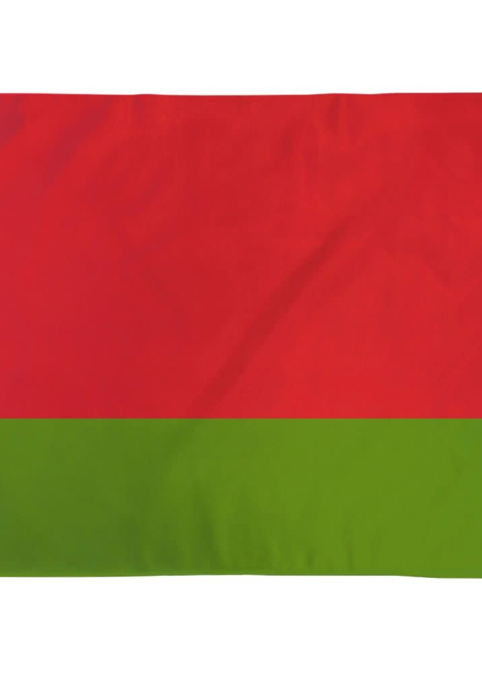 Флаг Беларуси, 3x5'