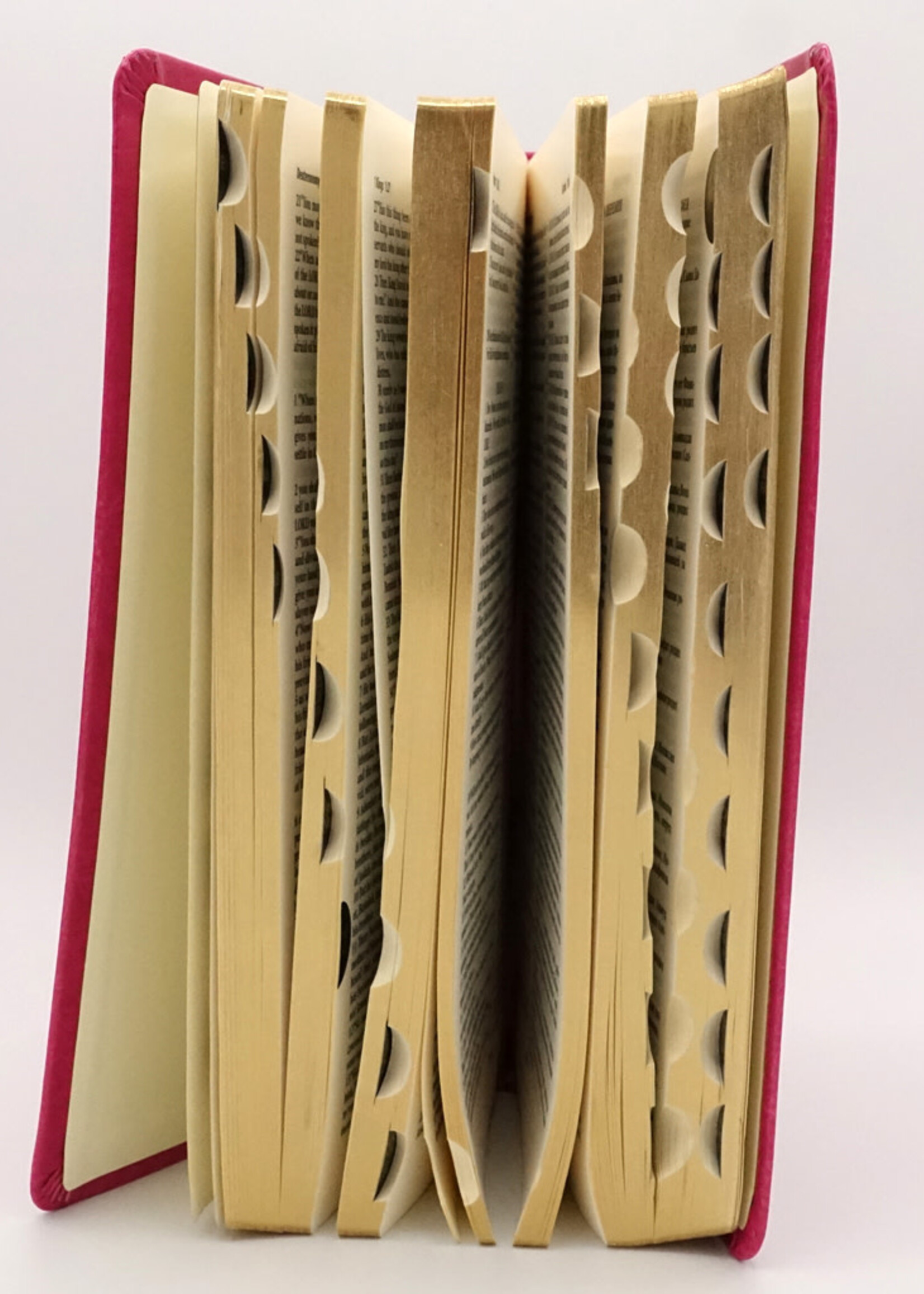 English-Russian Parallel Bible (NASB-SYNO), Index, Medium, Pink