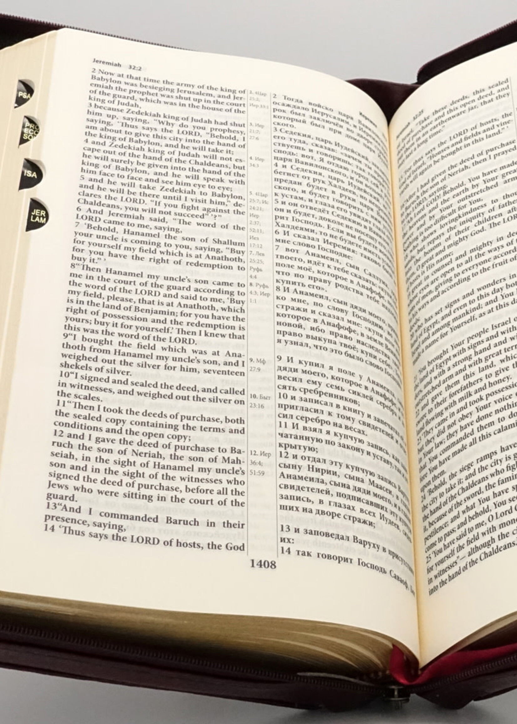 Библия Параллельная: Английский (NASB) — Русский (Синодальный перевод), Индексы, Молния, Коричневая.