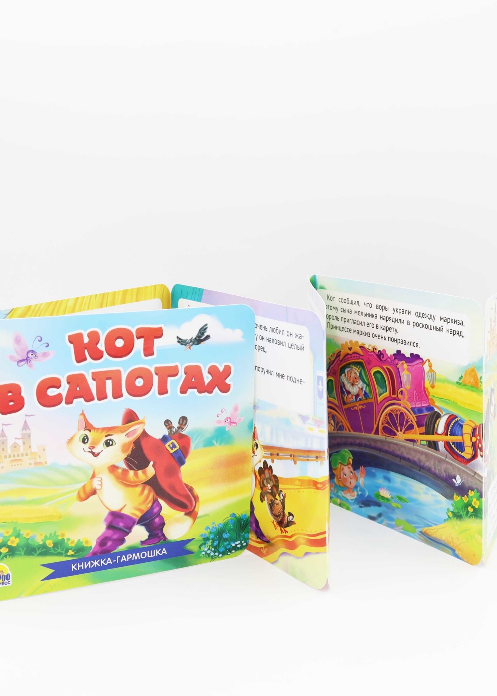 Книжка-Гармошка, Кот в Сапогах
