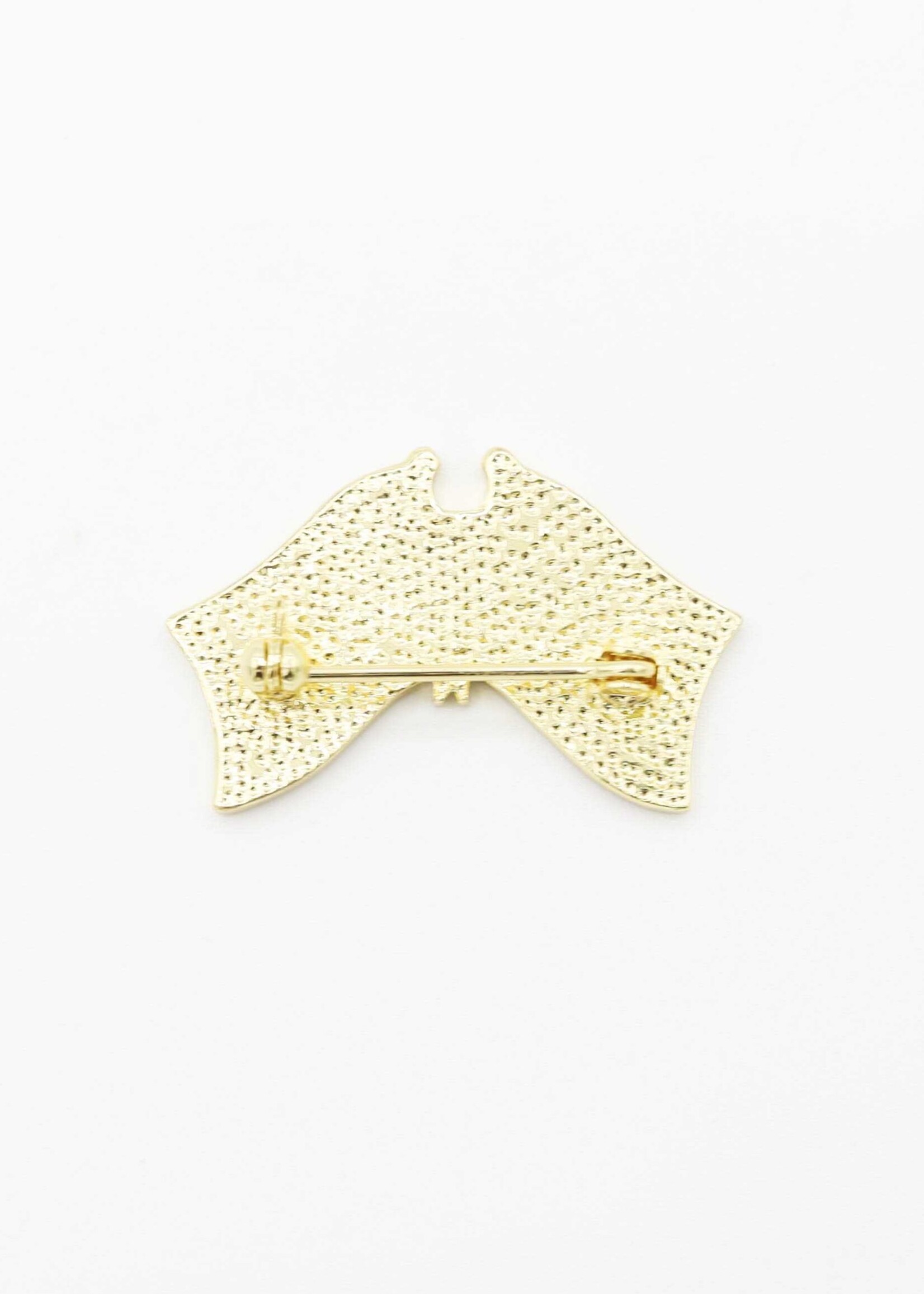 USA & UA Flag Pin