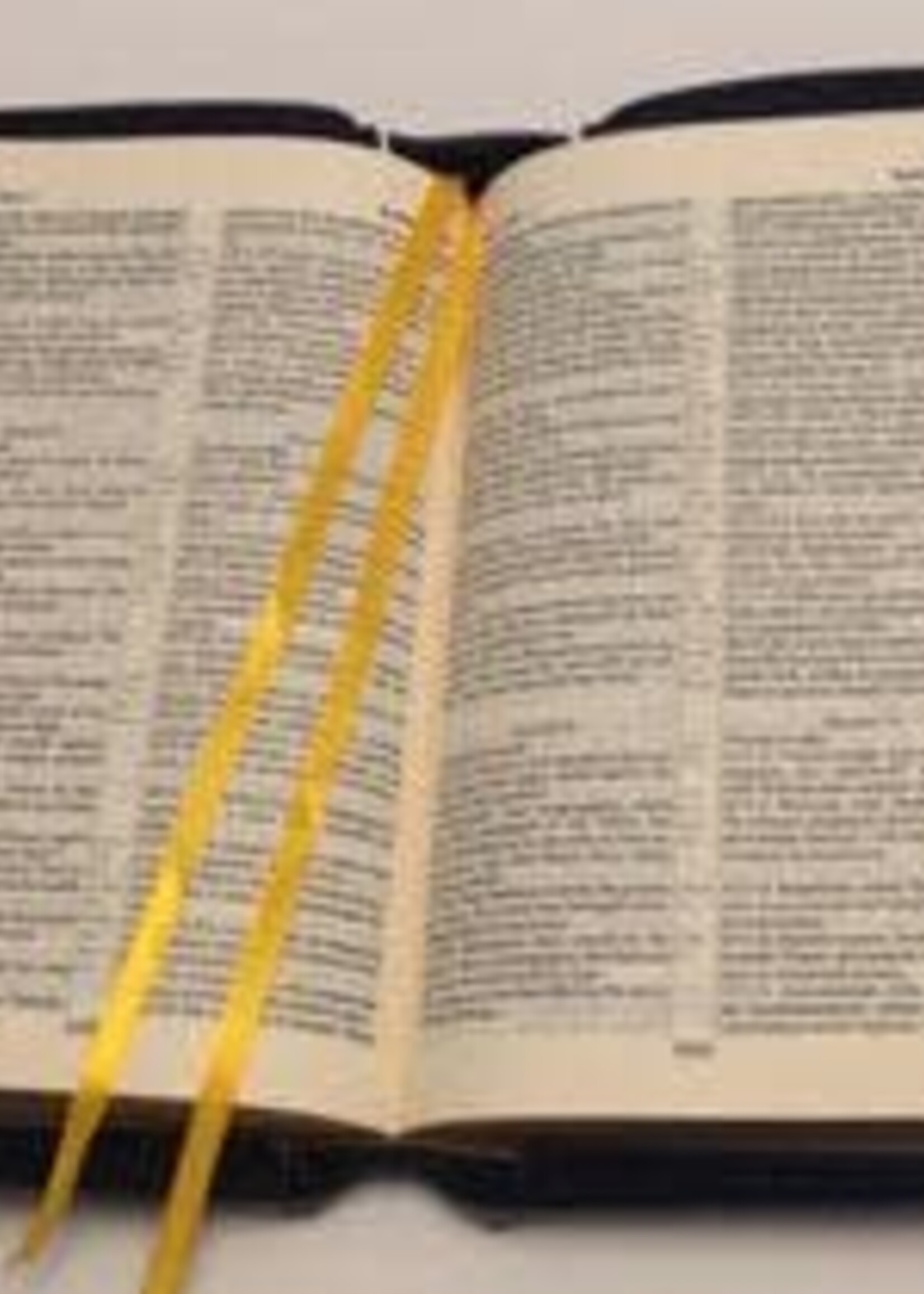 English-Russian Parallel Bible (NASB-SYNO), Index, Medium, Black with Zipper