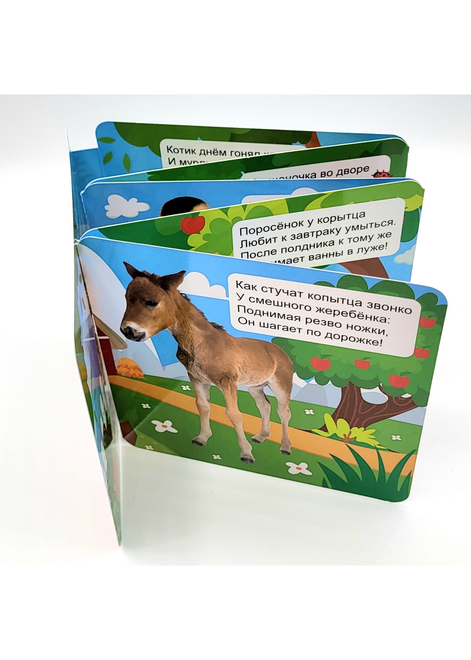 Книжка-Гармошка, Домашние Животные