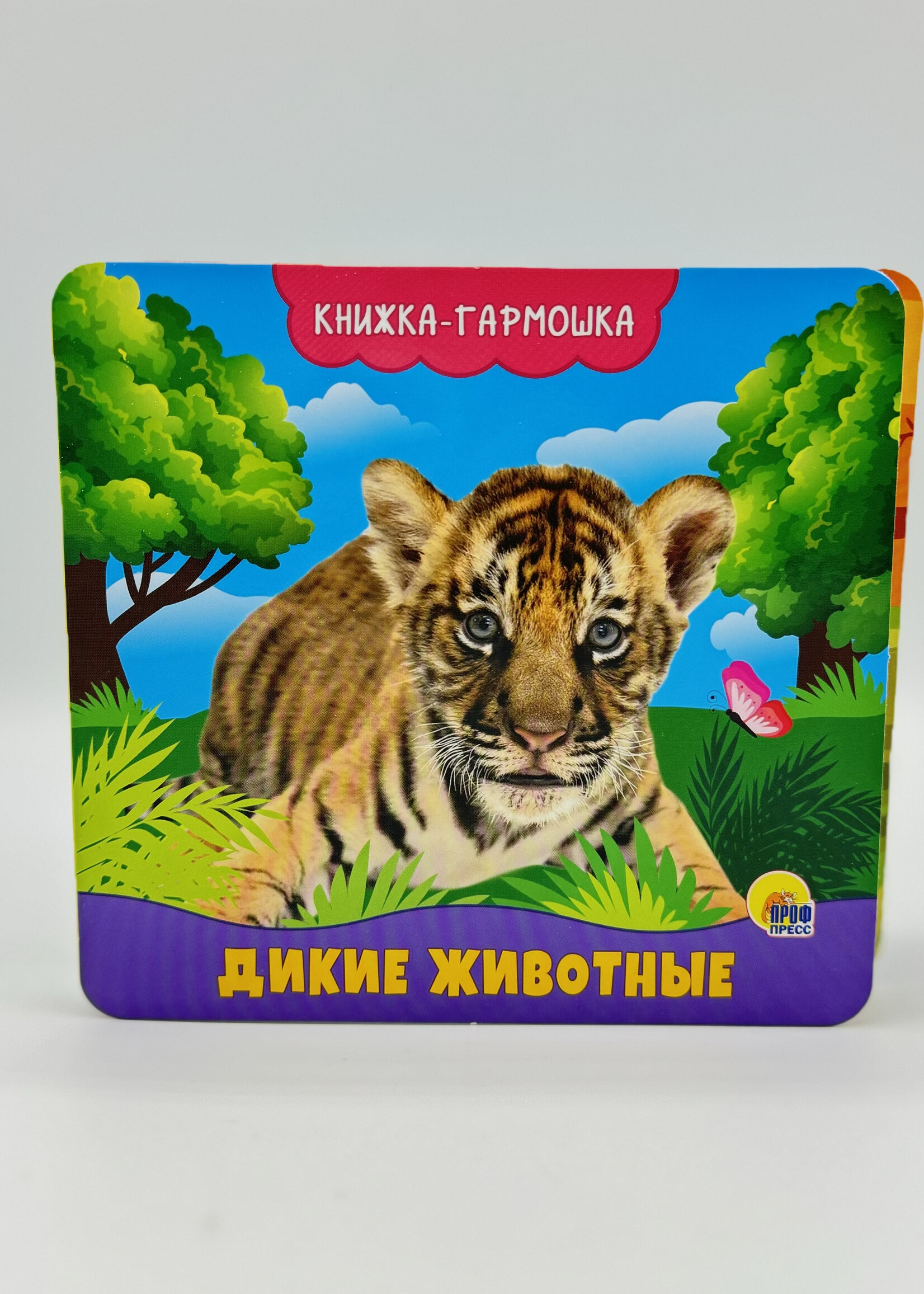 Книжка-Гармошка, Дикие Животные