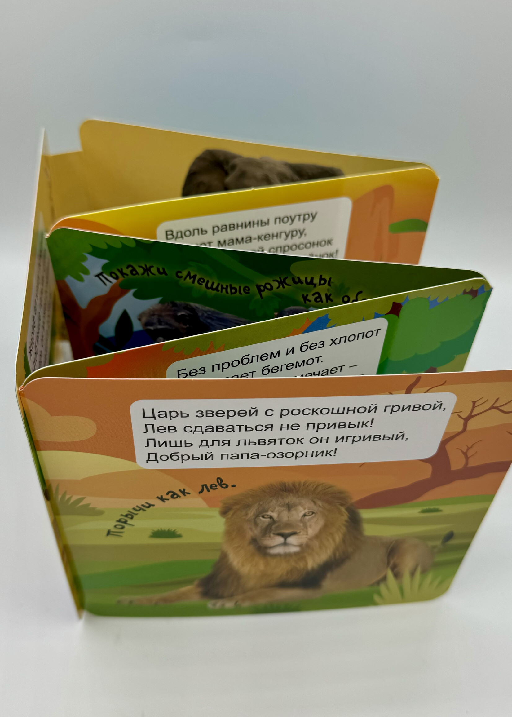 Книжка-Гармошка, Дикие Животные