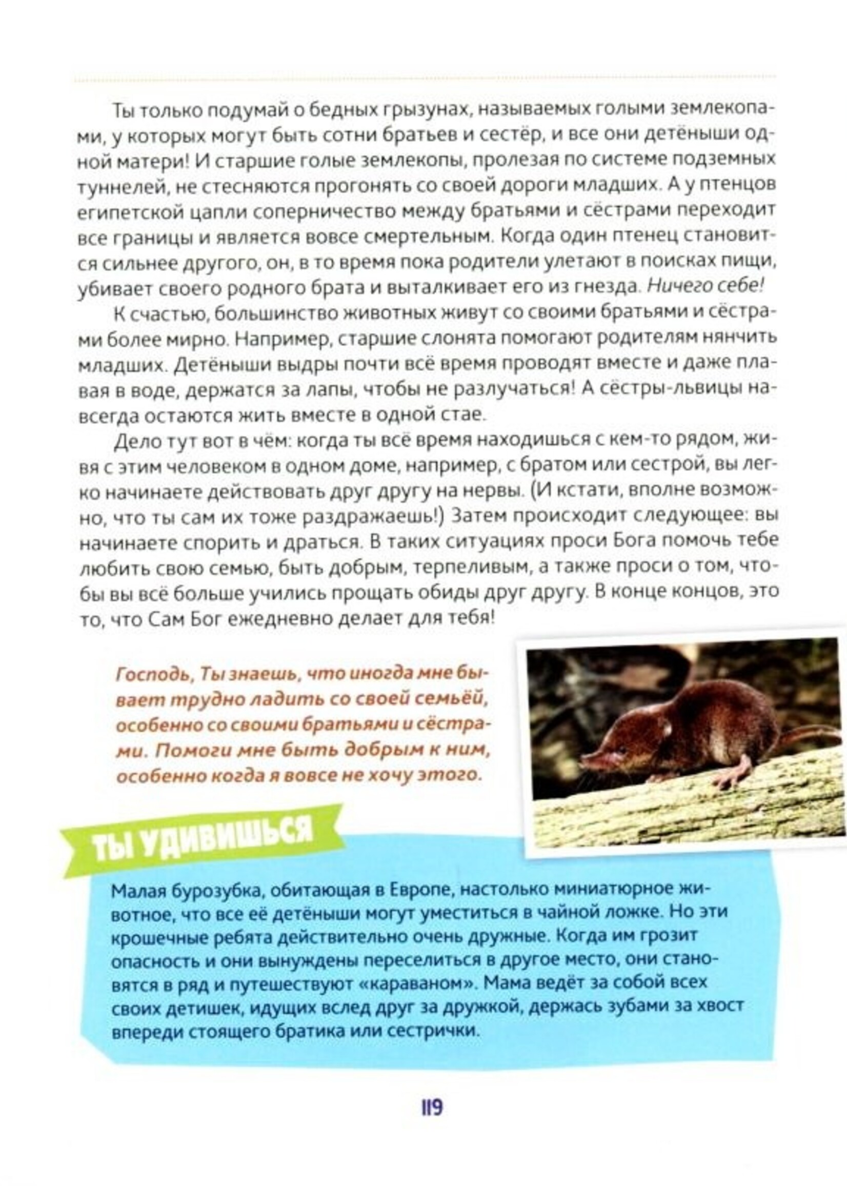 Неописуемый , Луи  Гиглио