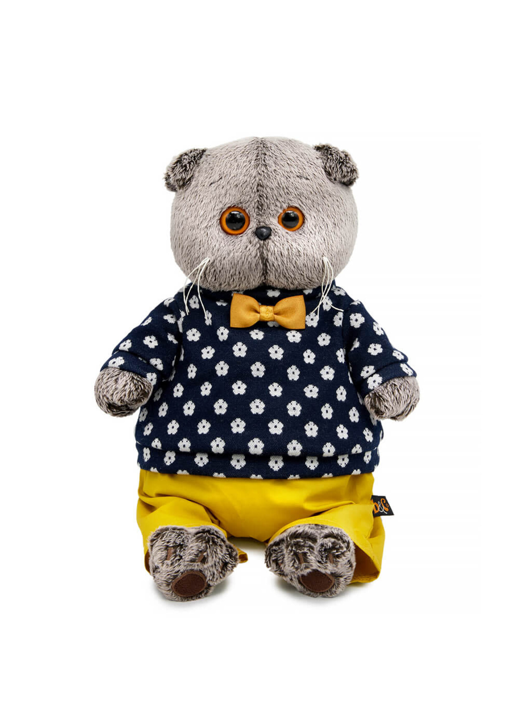 Basik the Cat in flower sweater