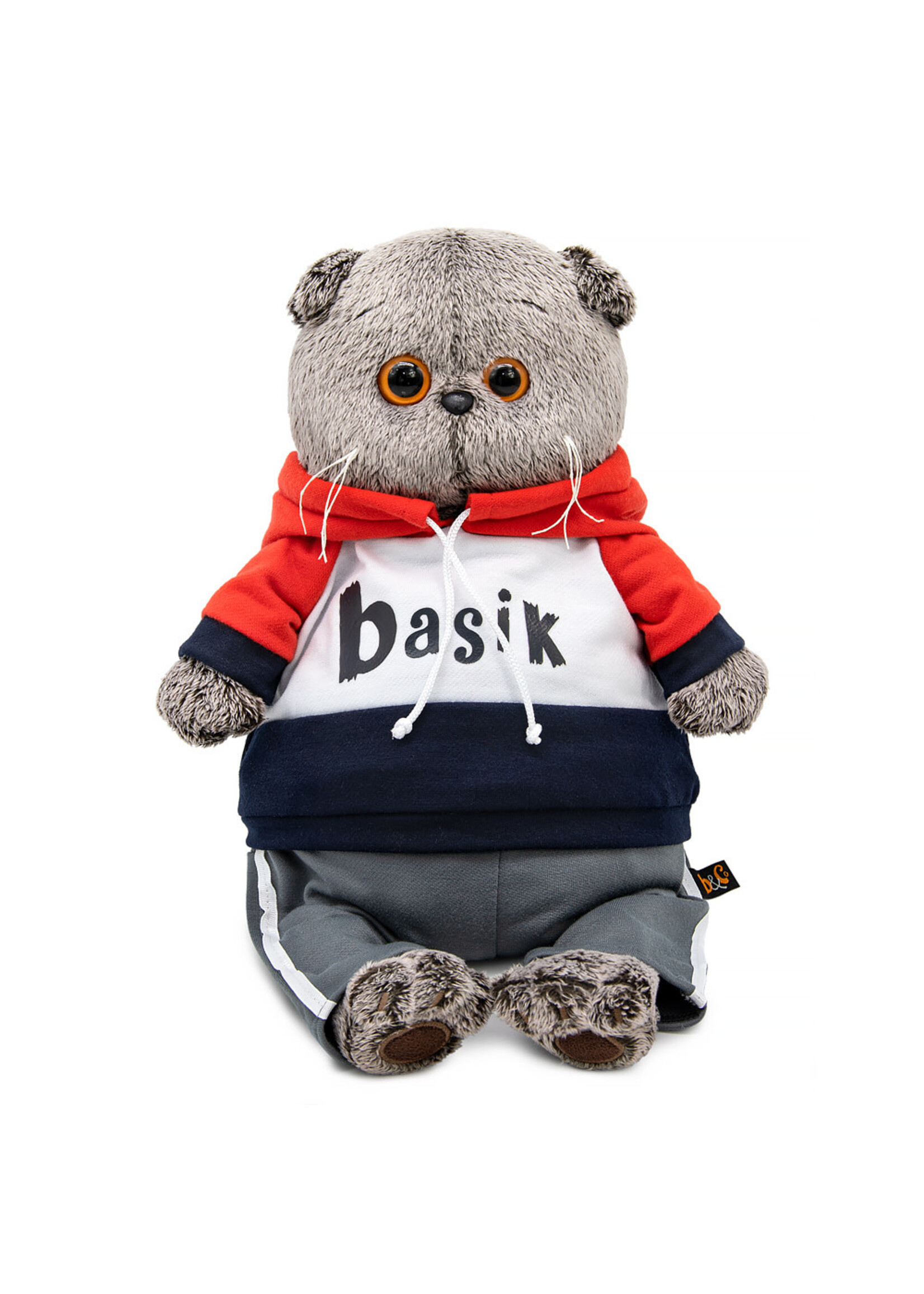 Basik the Cat in Sport Suit