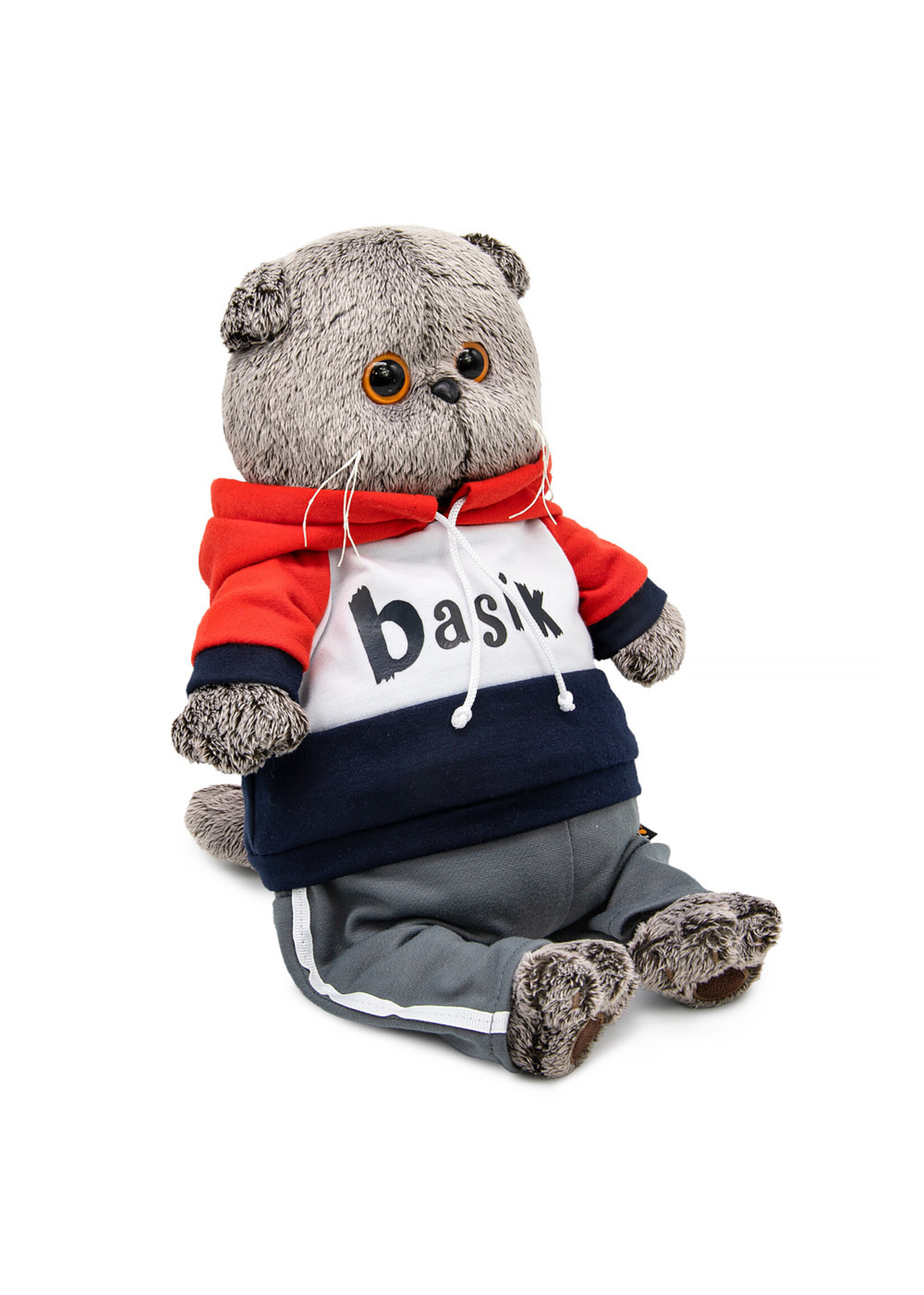 Basik the Cat in Sport Suit