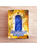 Бог в моей жизни, Чесноков Игорь